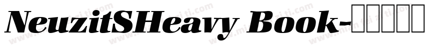 NeuzitSHeavy Book字体转换
